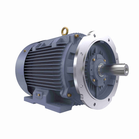Marathon Electric Cast Iron Motor, 30 HP, 3 Ph, 50 Hz, 400 V, 750 RPM, 225M Frame, TEFC