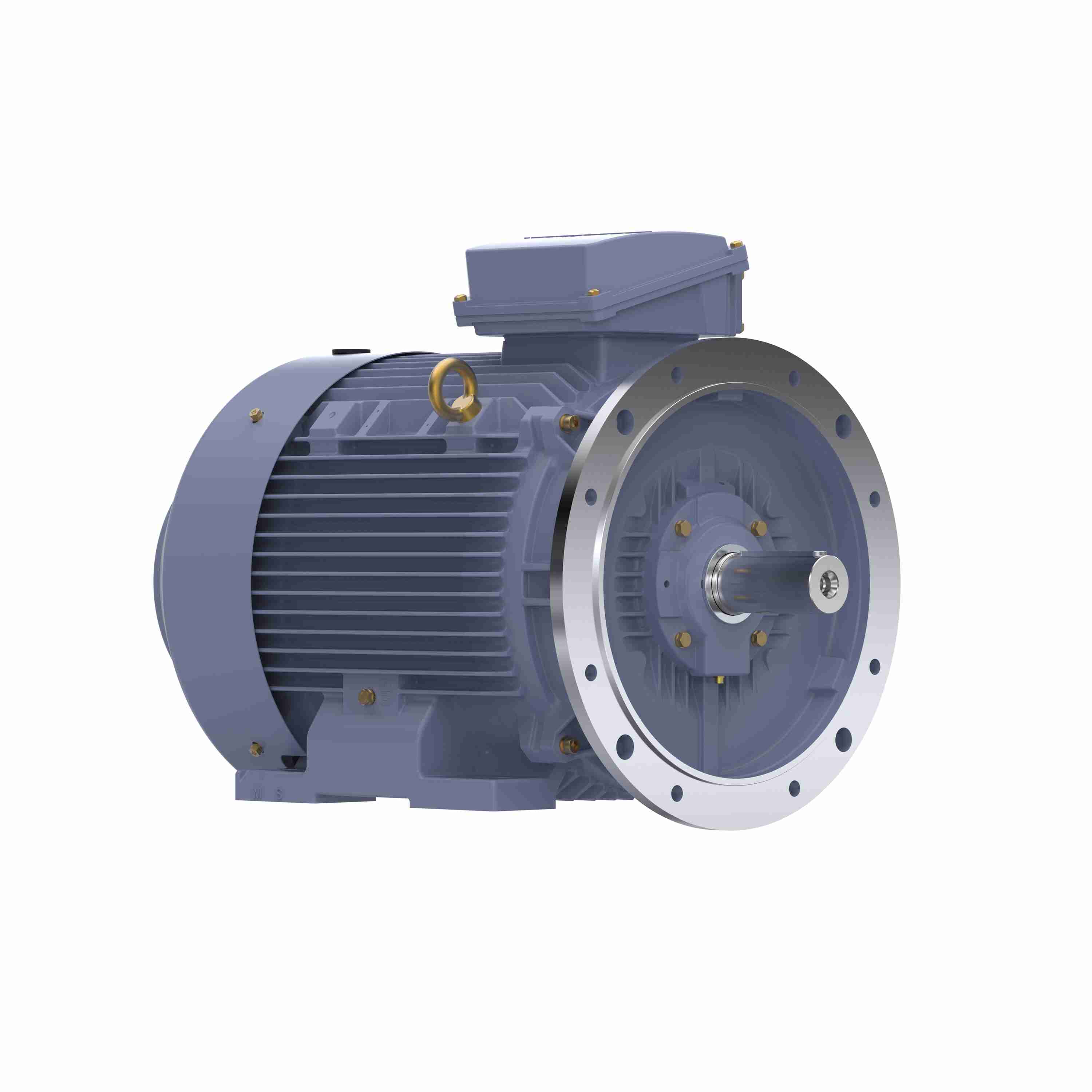 Marathon Electric Cast Iron Motor, 40 HP, 3 Ph, 50 Hz, 400 V, 750 RPM, 250M Frame, TEFC