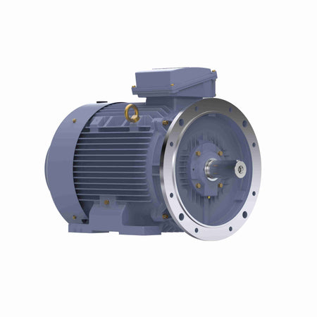 Marathon Electric Cast Iron Motor, 50 HP, 3 Ph, 50 Hz, 400 V, 1000 RPM, 250M Frame, TEFC