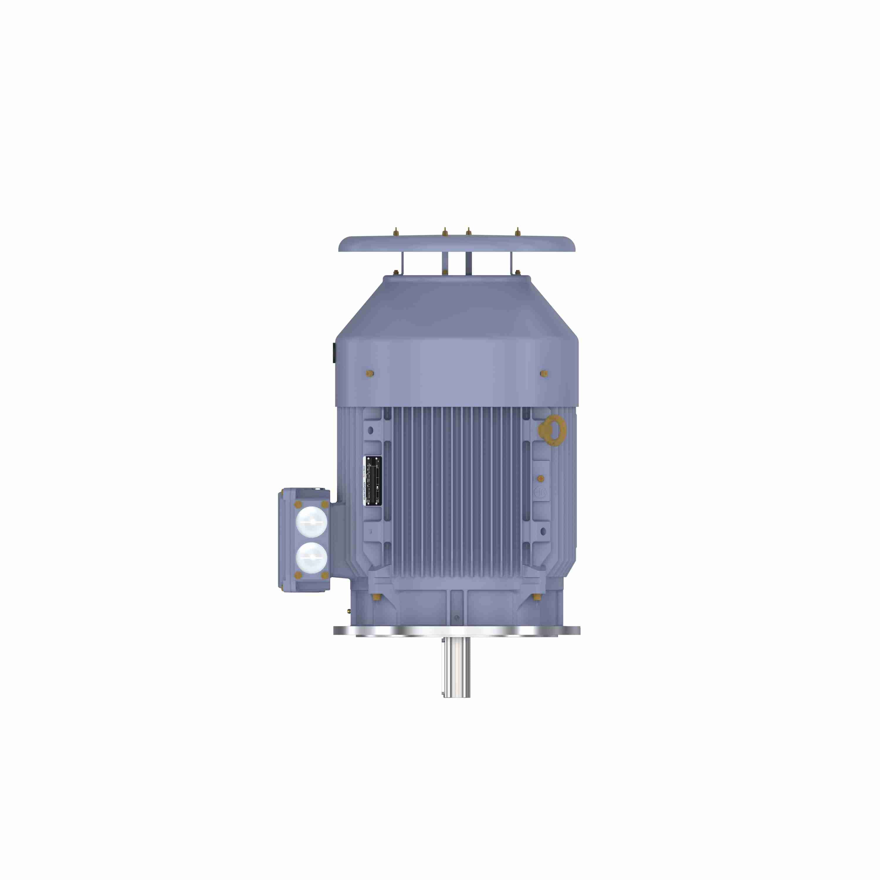 Marathon Electric Cast Iron Motor, 50 HP, 3 Ph, 50 Hz, 400 V, 1000 RPM, 250M Frame, TEFC