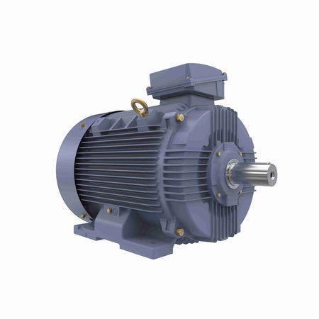 Marathon Electric Cast Iron Motor, 50 HP, 3 Ph, 50 Hz, 400 V, 750 RPM, 280S Frame, TEFC