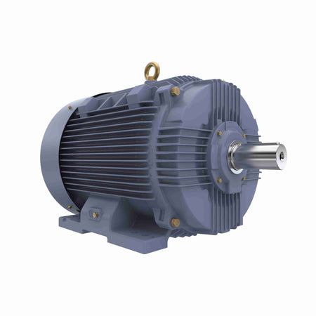 Marathon Electric Cast Iron Motor, 60 HP, 3 Ph, 50 Hz, 400 V, 1000 RPM, 280S Frame, TEFC