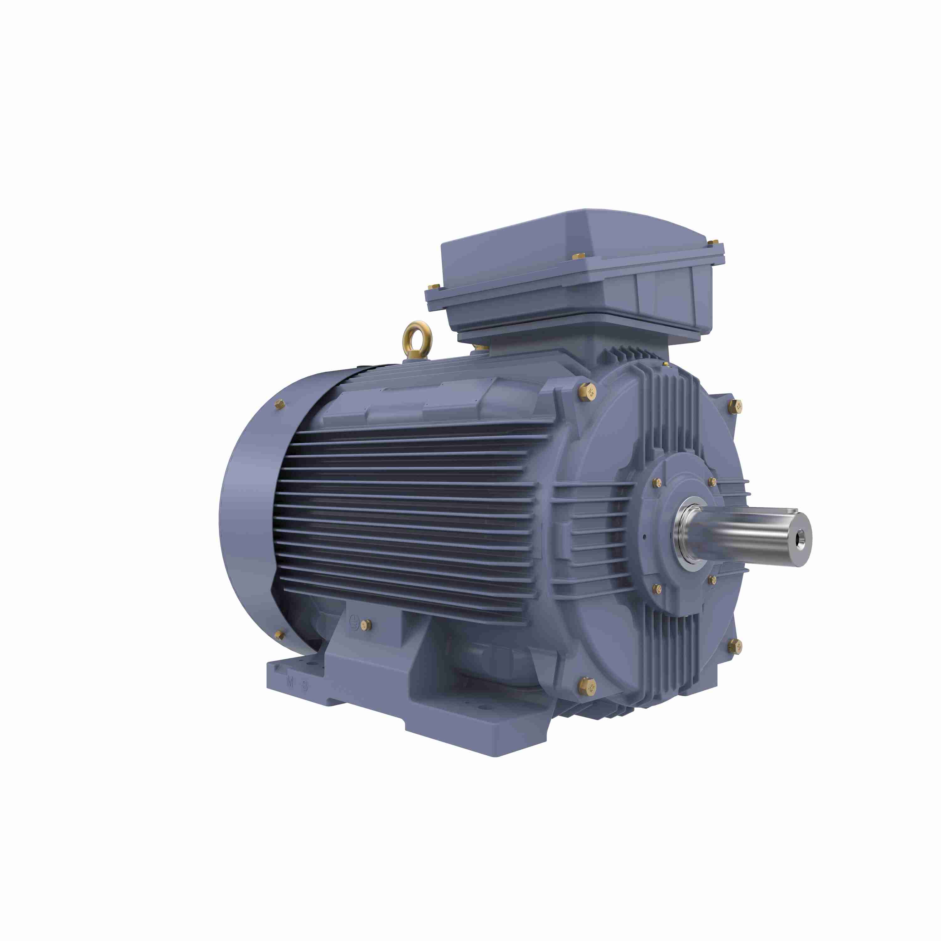 Marathon Electric Cast Iron Motor, 100 HP, 3 Ph, 50 Hz, 400 V, 1000 RPM, 315S Frame, TEFC
