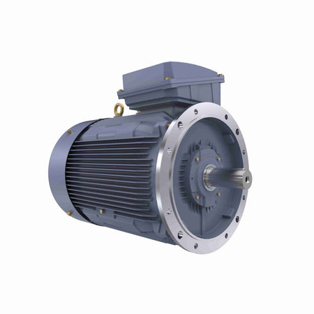 Marathon Electric Cast Iron Motor, 120 HP, 3 Ph, 50 Hz, 400 V, 1000 RPM, 315M Frame, TEFC