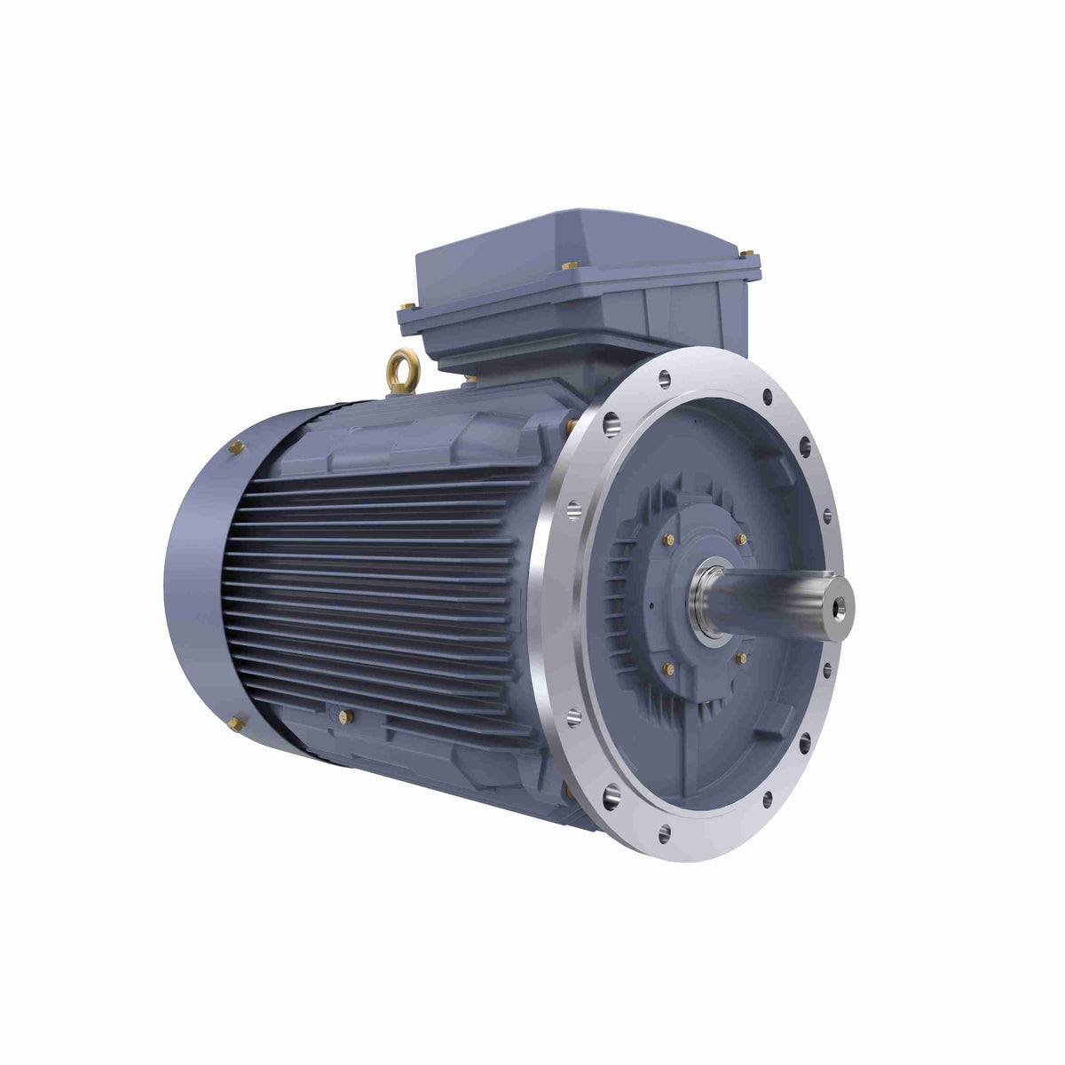 Marathon Electric Cast Iron Motor, 100 HP, 3 Ph, 50 Hz, 400 V, 1000 RPM, 315S Frame, TEFC