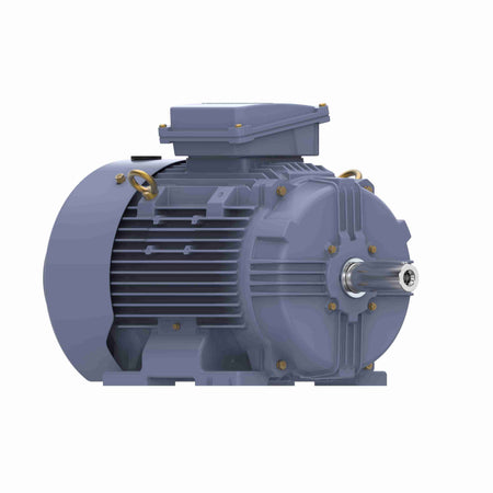Marathon Electric Cast Iron Motor, 15 HP, 3 Ph, 50 Hz, 400 V, 1000 RPM, 160L Frame, TEFC