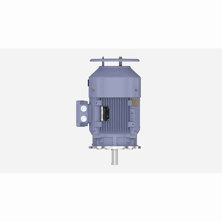 Marathon Electric Cast Iron Motor, 15 HP, 3 Ph, 50 Hz, 400 V, 1000 RPM, 160L Frame, TEFC