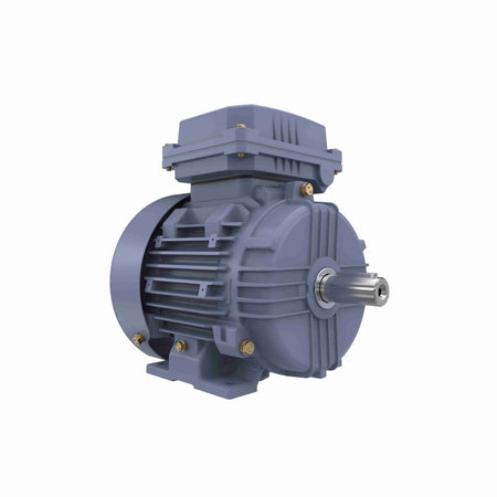 Marathon Electric Cast Iron Motor, 1 HP, 3 Ph, 50 Hz, 400 V, 1000 RPM, 90S Frame, TEFC