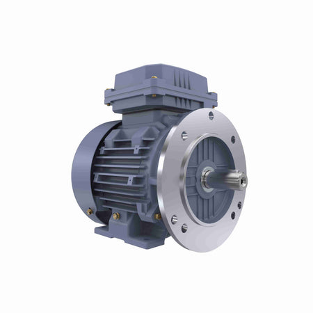 Marathon Electric Cast Iron Motor, 2 HP, 3 Ph, 50 Hz, 400 V, 3000 RPM, 90S Frame, TEFC