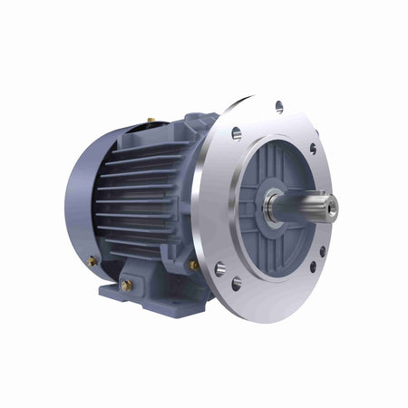 Marathon Electric Cast Iron Motor, 1.50 HP, 3 Ph, 50 Hz, 400 V, 1500 RPM, 90S Frame, TEFC