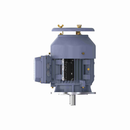 Marathon Electric Cast Iron Motor, 1 HP, 3 Ph, 50 Hz, 400 V, 1000 RPM, 90S Frame, TEFC