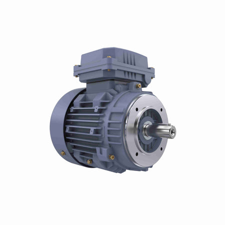 Marathon Electric Cast Iron Motor, 2 HP, 3 Ph, 50 Hz, 400 V, 3000 RPM, 90S Frame, TEFC