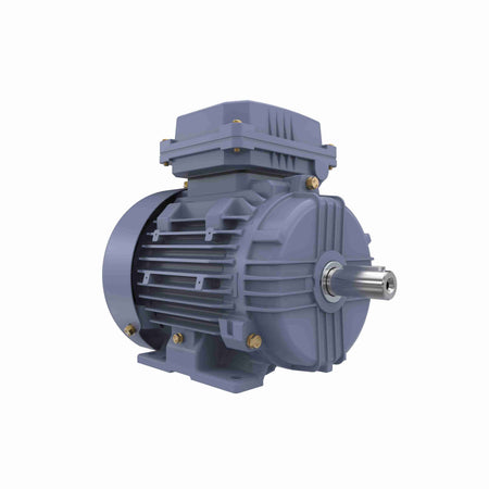 Marathon Electric Cast Iron Motor, 1.50 HP, 3 Ph, 50 Hz, 400 V, 1000 RPM, 90L Frame, TEFC