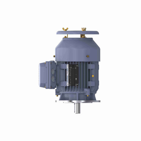 Marathon Electric Cast Iron Motor, 3 HP, 3 Ph, 50 Hz, 400 V, 3000 RPM, 90L Frame, TEFC