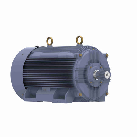 Marathon Electric Cast Iron Motor, 335 HP, 3 Ph, 50 Hz, 400 V, 1000 RPM, 355L Frame, TEFC