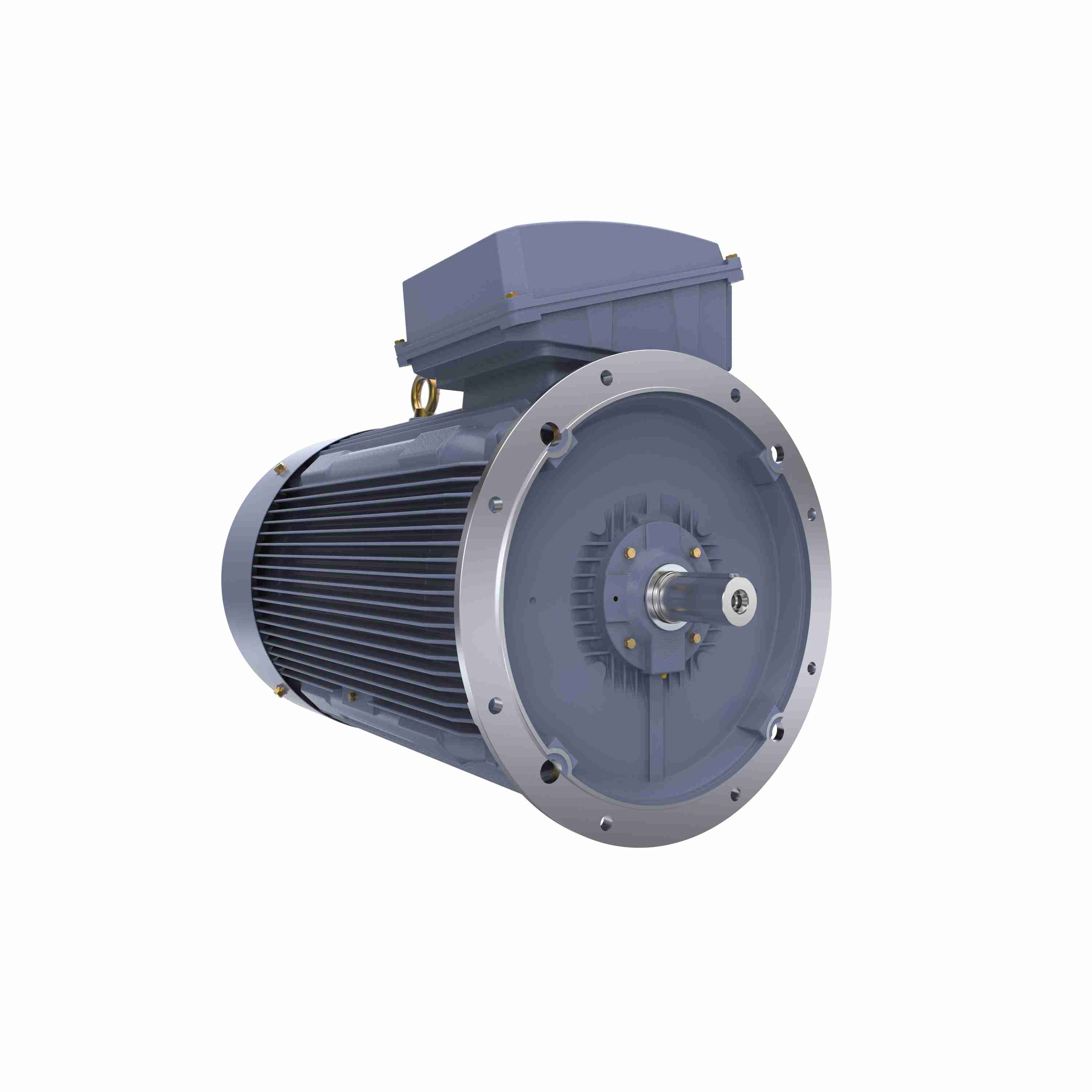 Marathon Electric Cast Iron Motor, 425 HP, 3 Ph, 50 Hz, 400 V, 3000 RPM, 355L Frame, TEFC