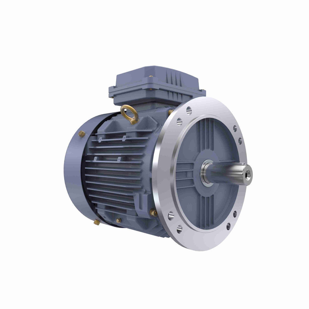 Marathon Electric Cast Iron Motor, 4 HP, 3 Ph, 50 Hz, 400 V, 1000 RPM, 132S Frame, TEFC