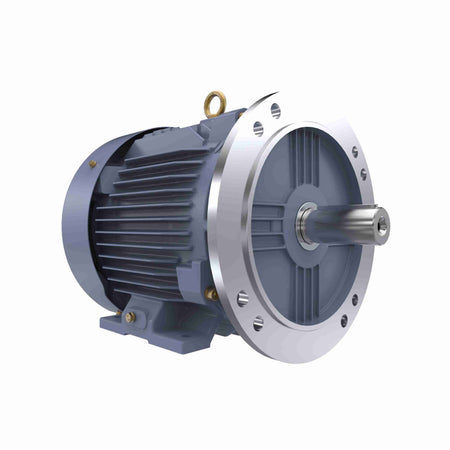 Marathon Electric Cast Iron Motor, 4 HP, 3 Ph, 50 Hz, 400 V, 1000 RPM, 132S Frame, TEFC
