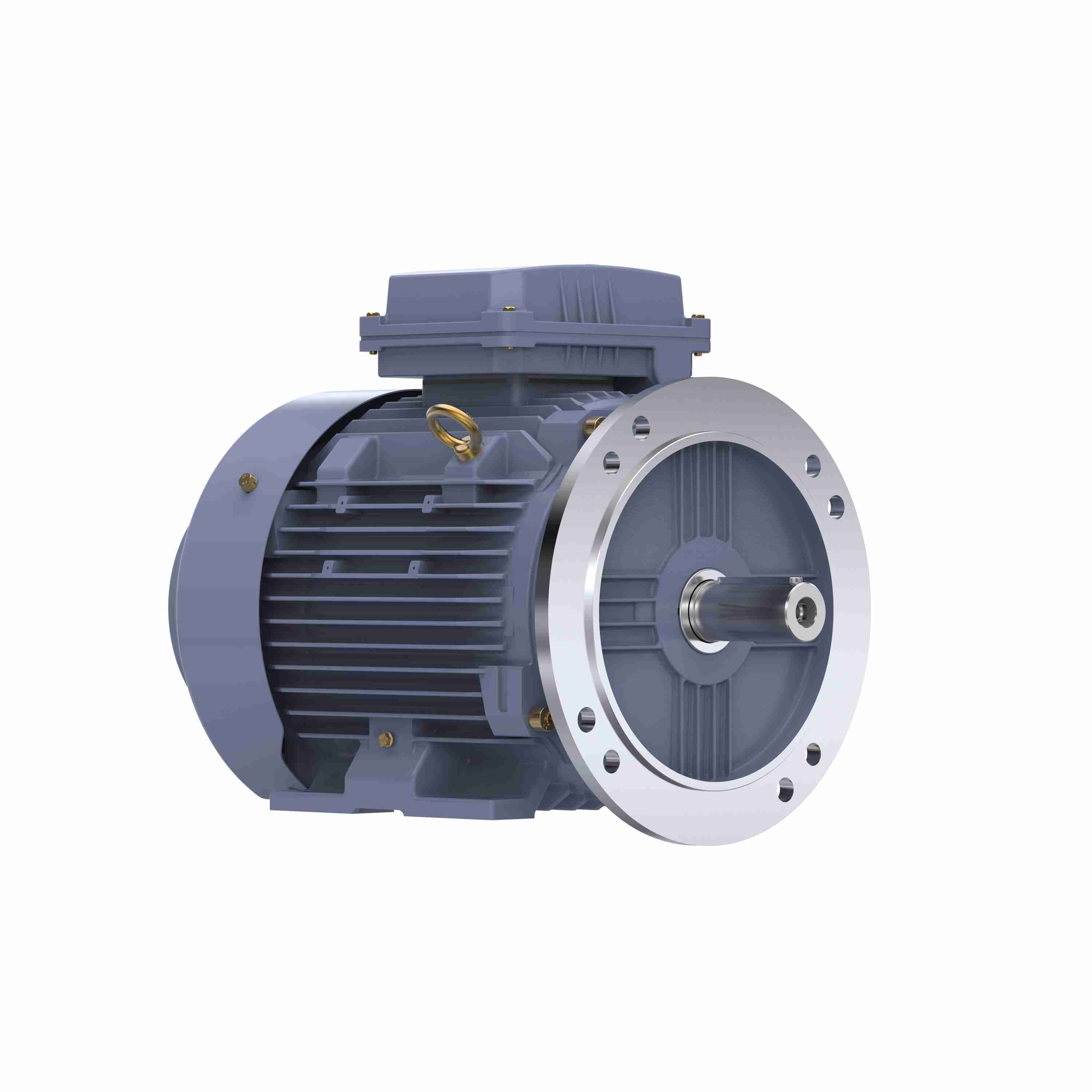 Marathon Electric Cast Iron Motor, 5.50 HP, 3 Ph, 50 Hz, 400 V, 1000 RPM, 132M Frame, TEFC