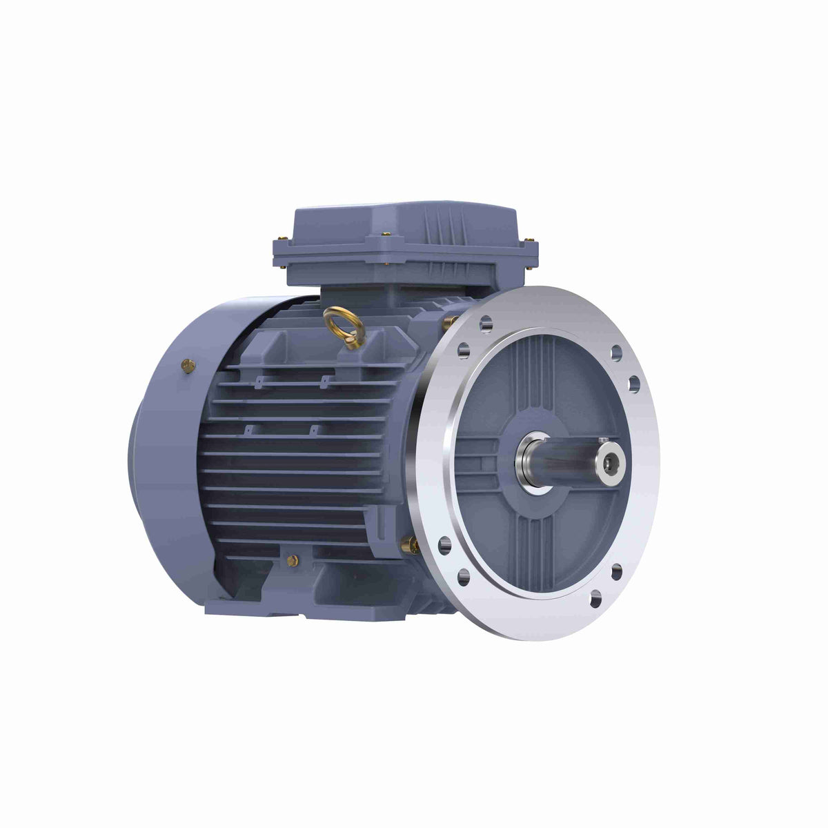 Marathon Electric Cast Iron Motor, 7.50 HP, 3 Ph, 50 Hz, 400 V, 1000 RPM, 132M Frame, TEFC