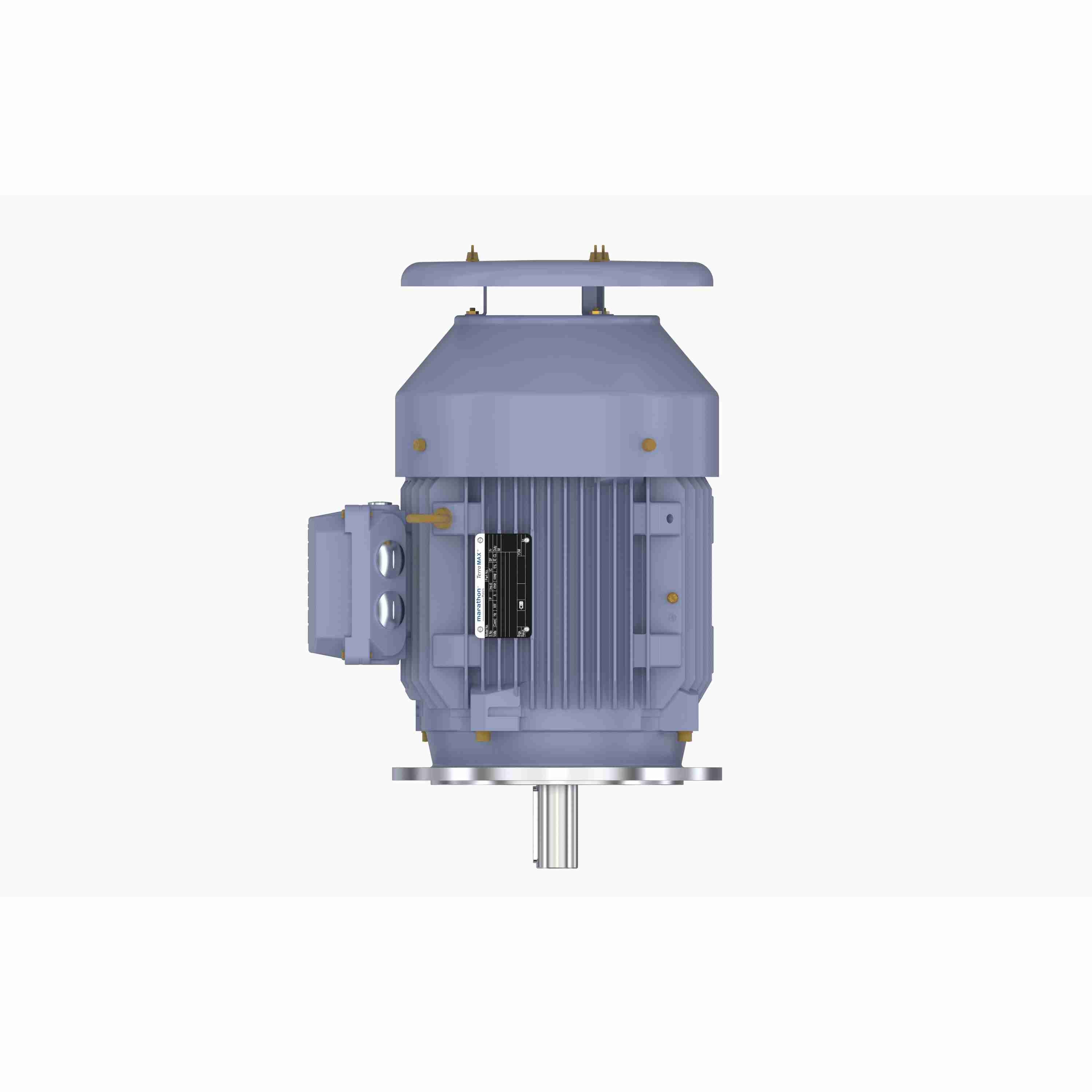 Marathon Electric Cast Iron Motor, 7.50 HP, 3 Ph, 50 Hz, 400 V, 1000 RPM, 132M Frame, TEFC
