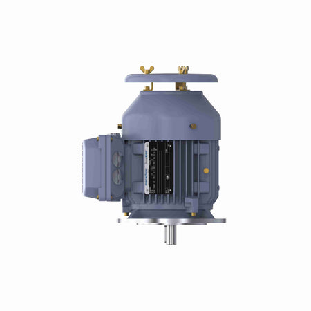 Marathon Electric Cast Iron Motor, 1 HP, 3 Ph, 50 Hz, 400 V, 3000 RPM, 80M Frame, TEFC