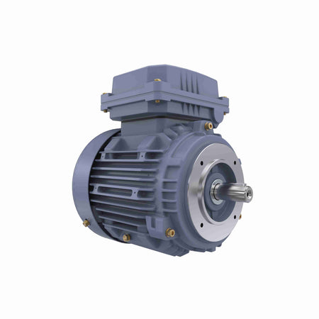Marathon Electric Cast Iron Motor, 1.50 HP, 3 Ph, 50 Hz, 400 V, 3000 RPM, 80M Frame, TEFC
