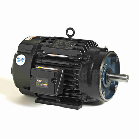 Marathon Electric Inverter (Vector) Duty Motor