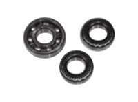 Dodge 1315QSBRGKIT - Dodge - BEARING KIT TIGEAR 2 13/15-QS