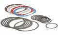 Dodge 133180 - Dodge - 1 7/16 SLEEVOIL SEAL SPRING