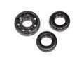 Dodge 728543 - Dodge - BALL BEARING